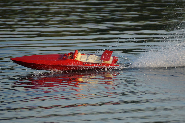 Viehofner See, 20. Juli 2014 - Foto 35 - klick = zurck zum Index