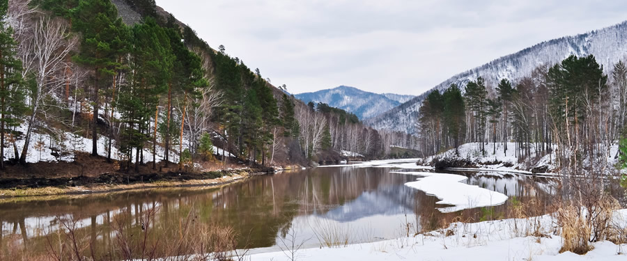 landscape1.jpg