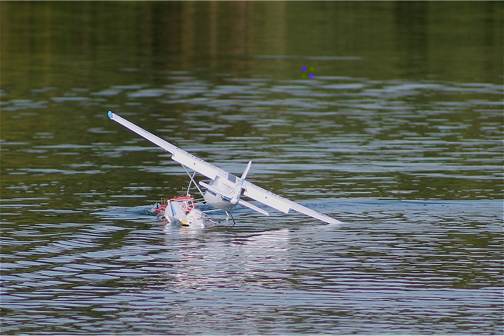 Viehofner See, 14. August 2011 - Foto 47 - klick = zurck zum Index