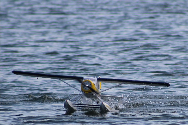 Viehofner See, 07. August 2016 - Foto 54 - klick = zurck zum Index