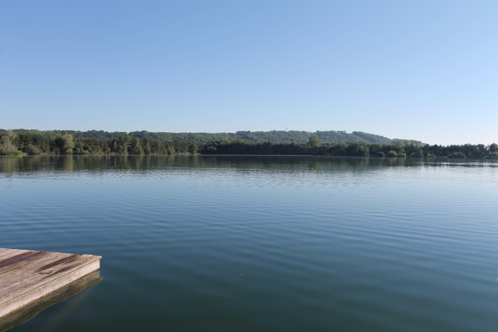 Viehofner See, 08. Juni 2014 - Foto 03 - klick = zurck zum Index
