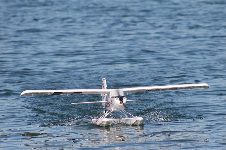 Viehofner See, 15. Juni 2017 - Foto 36 - klick = zurck zum Index