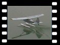 Cessna Bird Dog  (6,6 MB)