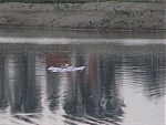 Foto 28