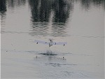 Foto 30