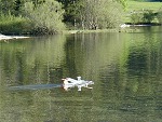 Foto 07