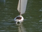 Foto 33